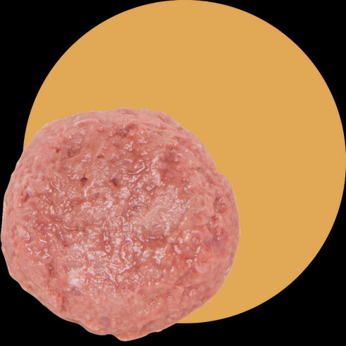 smallbatch Base Blends Frozen Raw Cat & Dog Food - Chicken - 2lb Brick